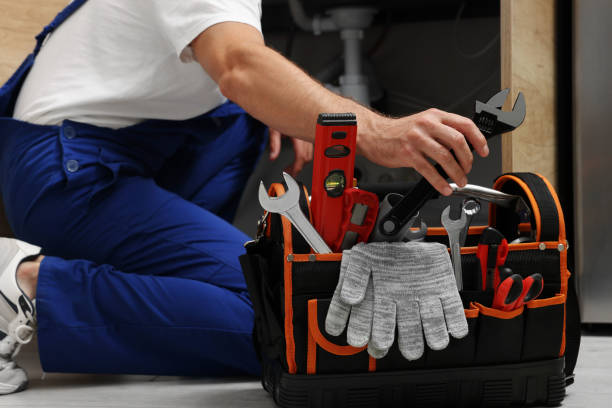 Best Commercial Plumbing Services  in Hastings, MI